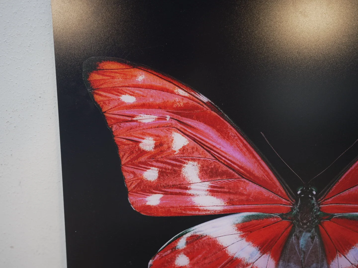 Photo Apr 23 2026, 12 37 34 PM.jpg