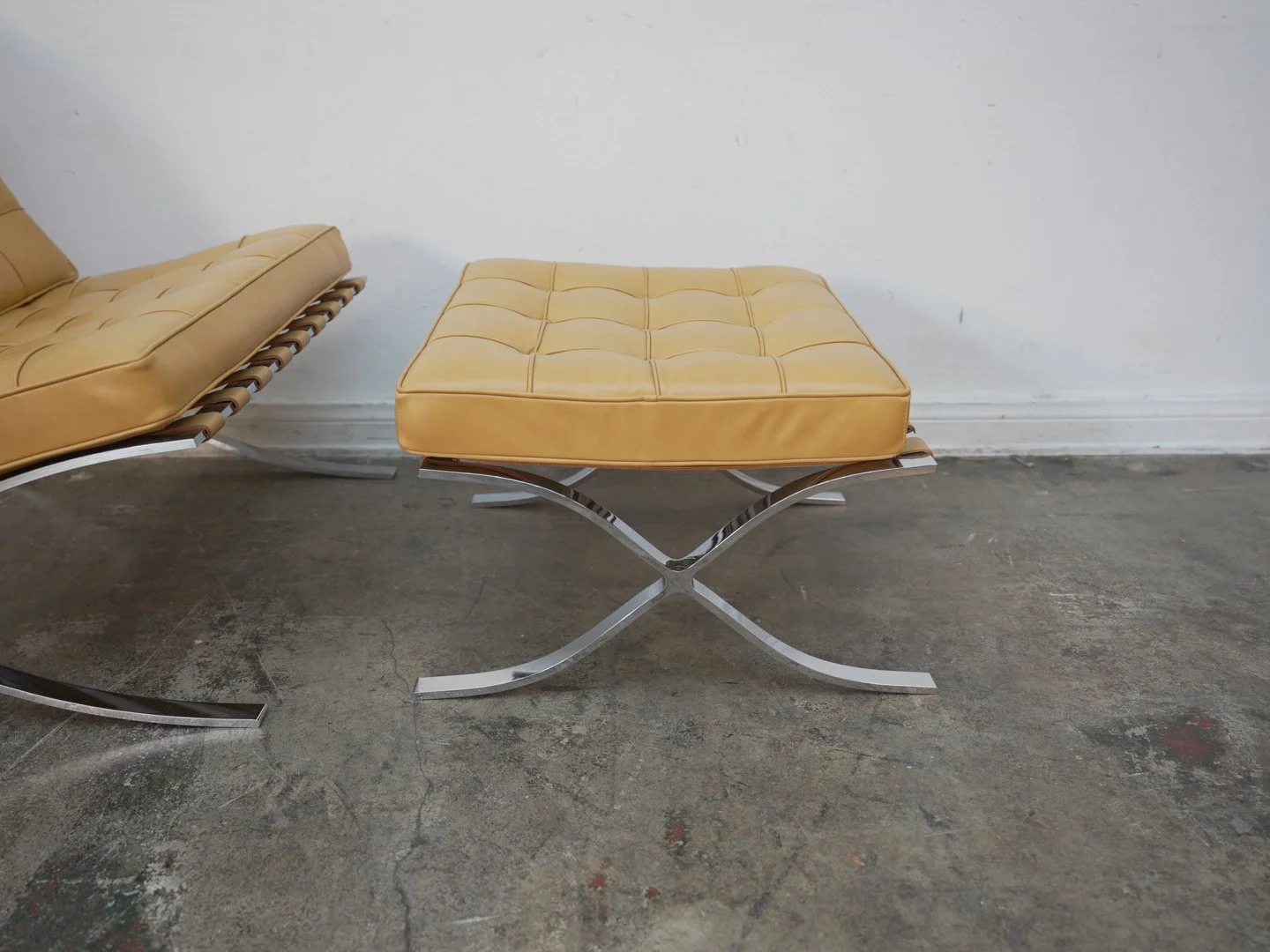 Photo Apr 21 2026, 1 06 10 PM.jpg