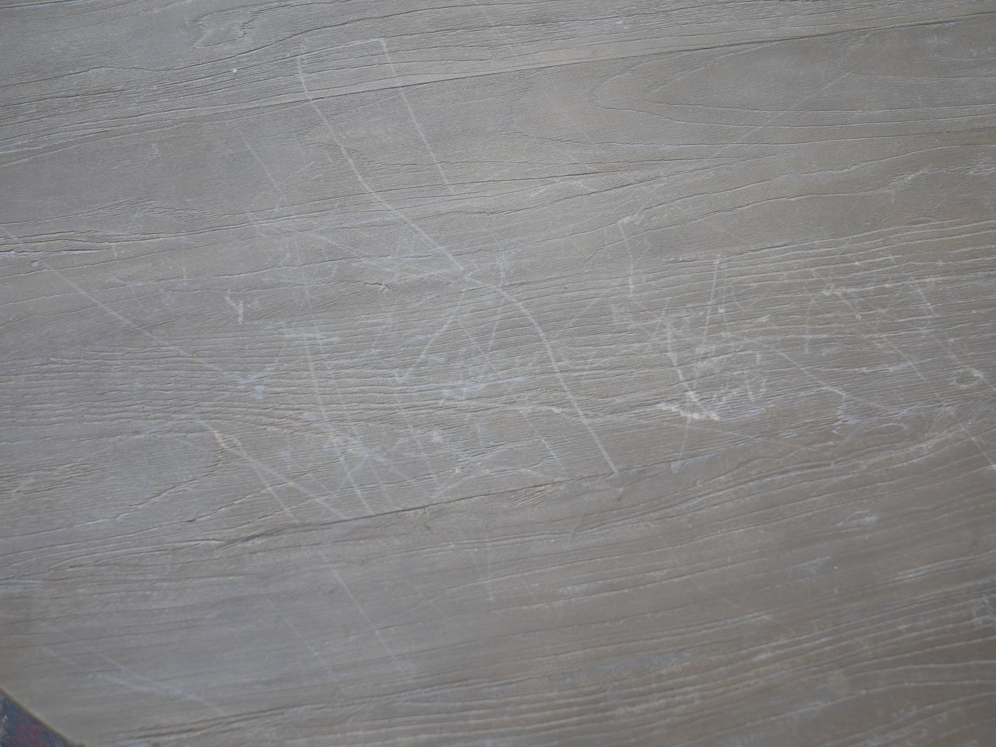 Photo Feb 19 2026, 1 26 14 PM.jpg