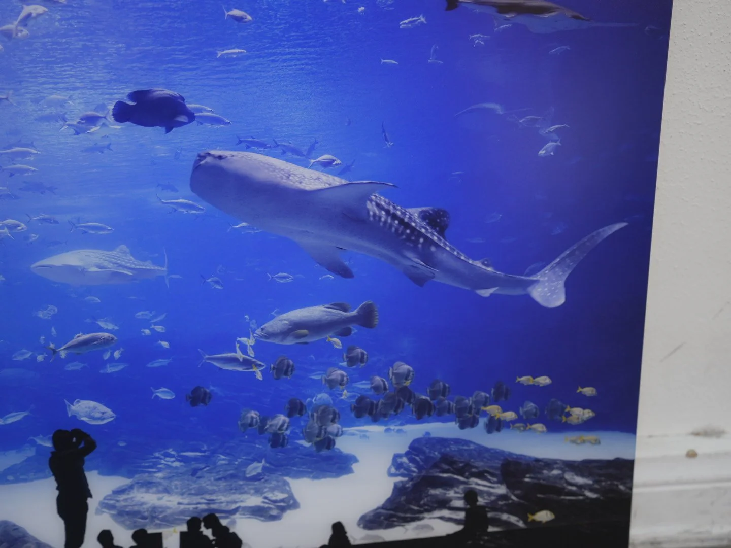 Photo Apr 23 2026, 12 18 21 PM.jpg