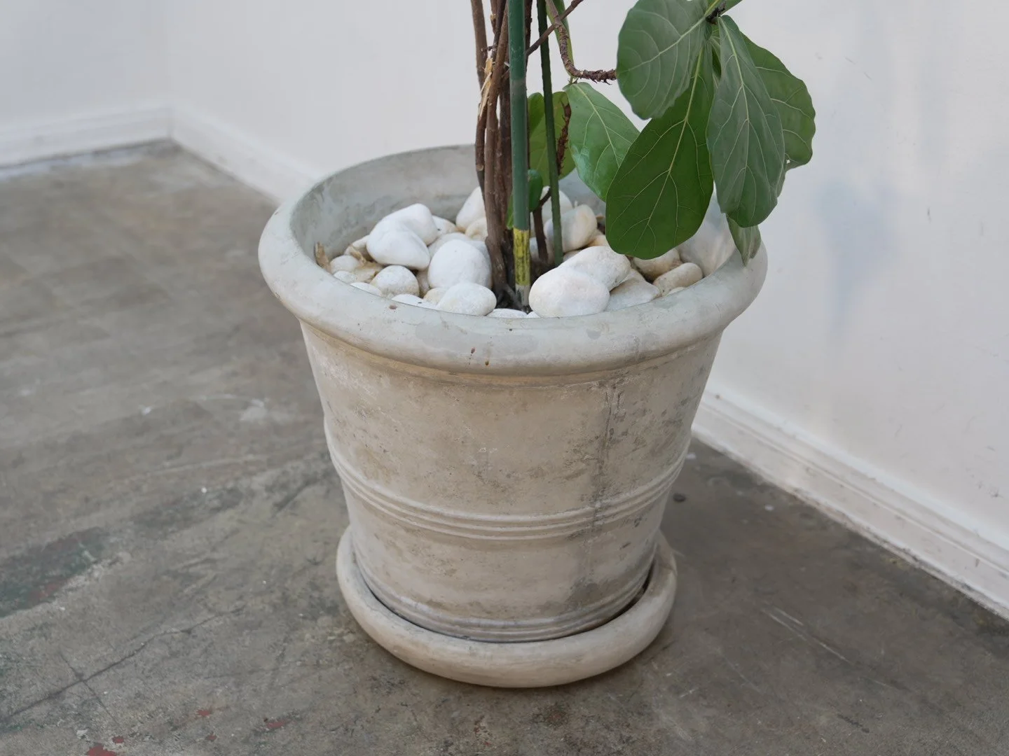 Photo Feb 06 2026, 5 39 36 PM.jpg