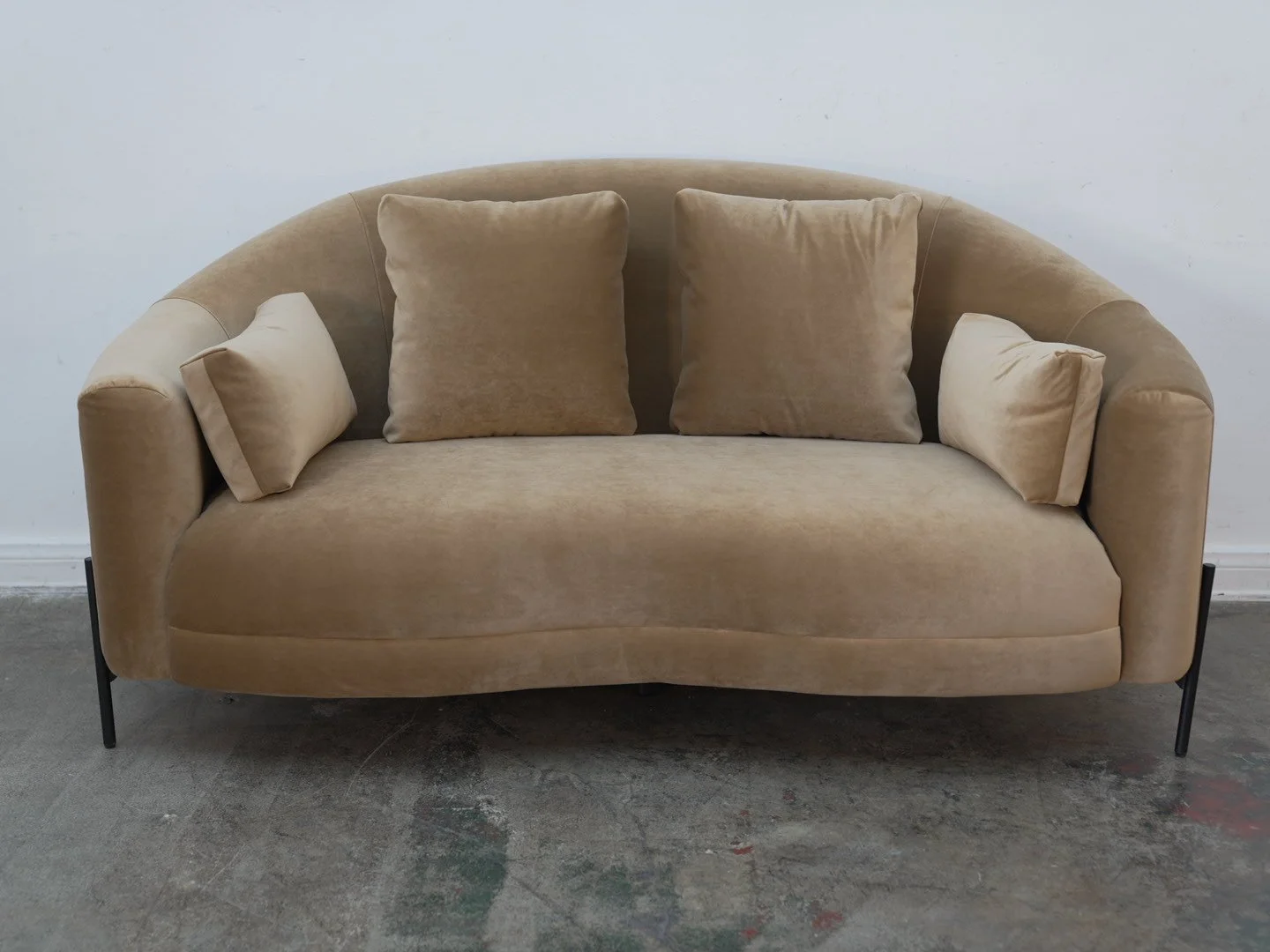 Photo Jan 27 2026, 12 36 33 PM.jpg