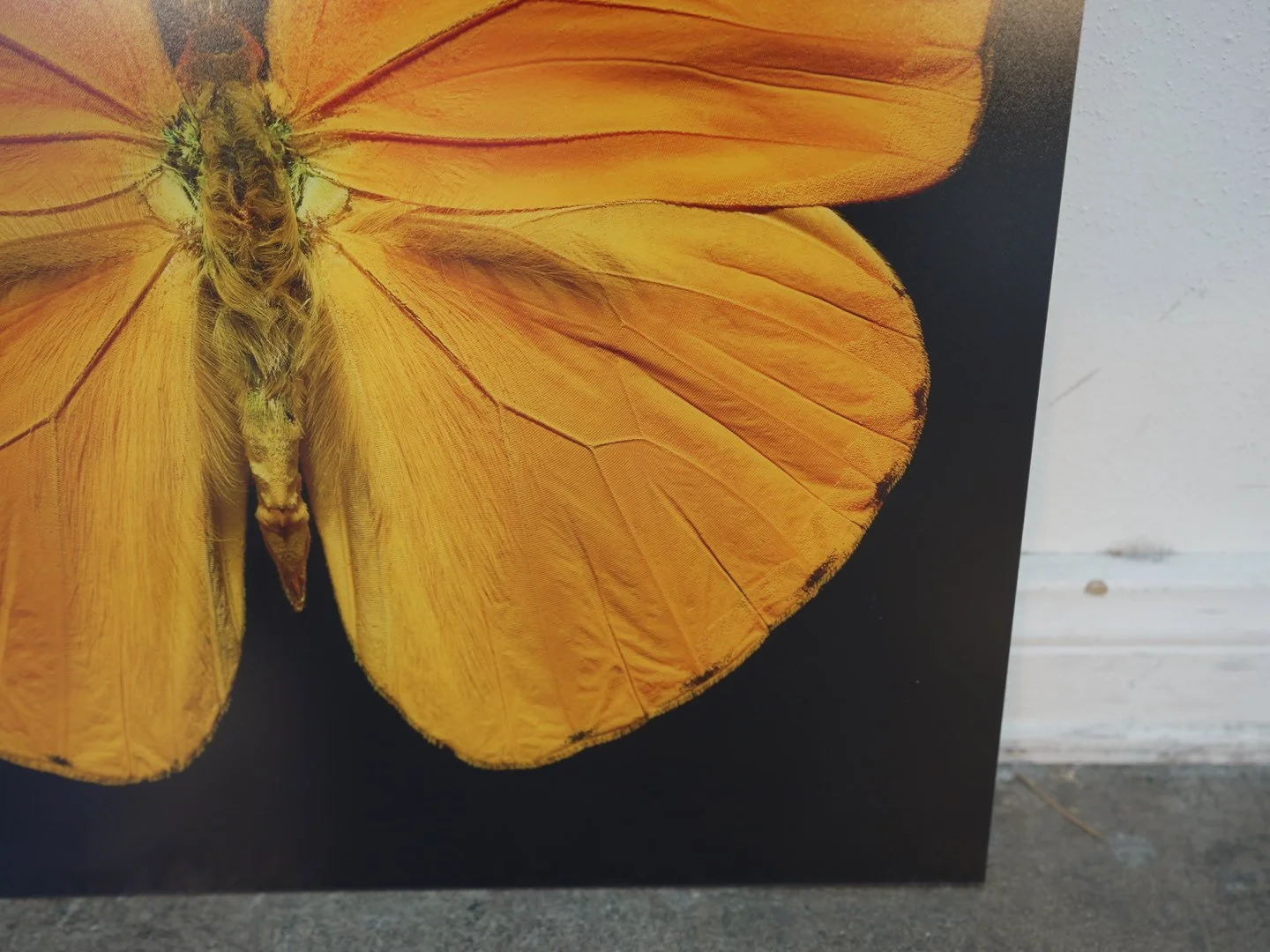 Photo Apr 23 2026, 12 21 23 PM.jpg