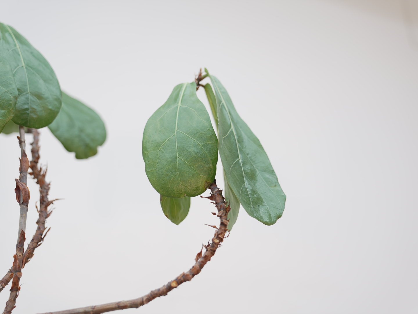 Photo Feb 06 2026, 5 44 13 PM.jpg