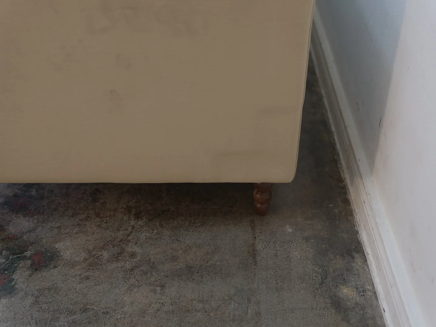 Photo Jan 27 2026, 12 51 14 PM.jpg