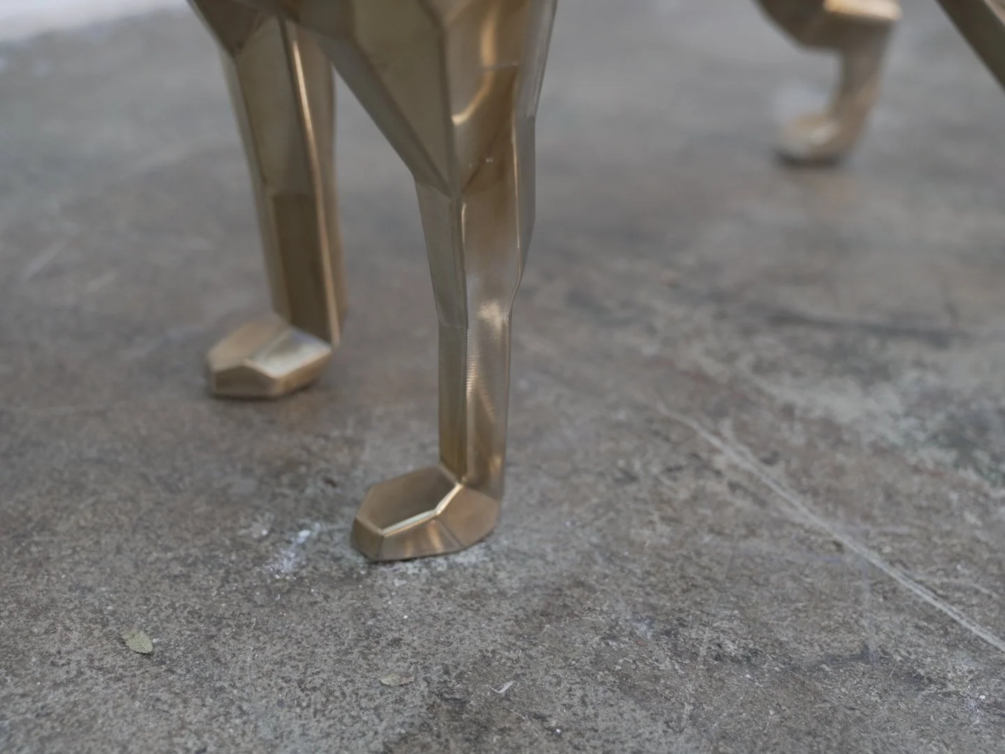 Photo Feb 08 2026, 11 58 32 AM.jpg