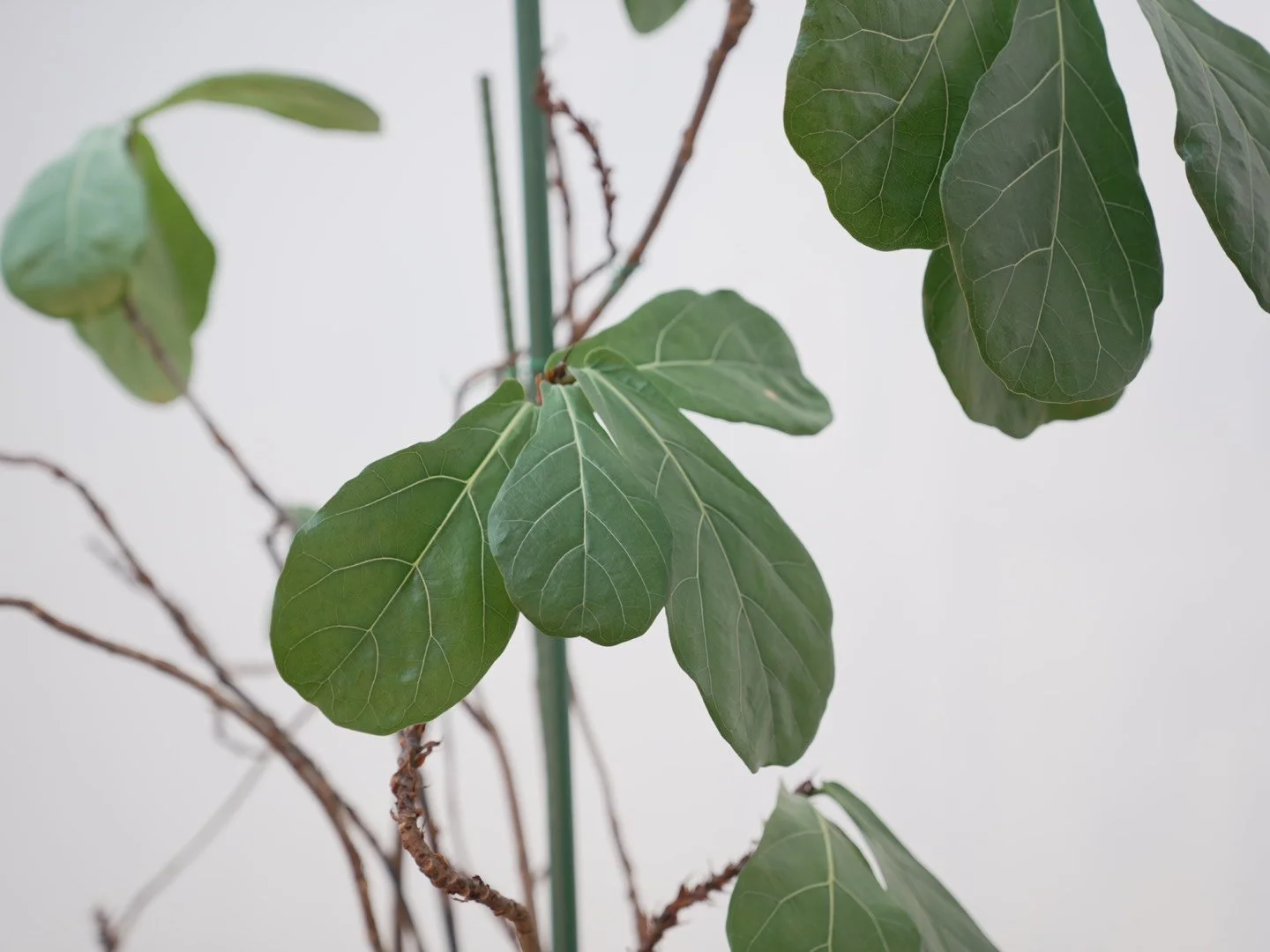 Photo Feb 06 2026, 5 39 42 PM.jpg