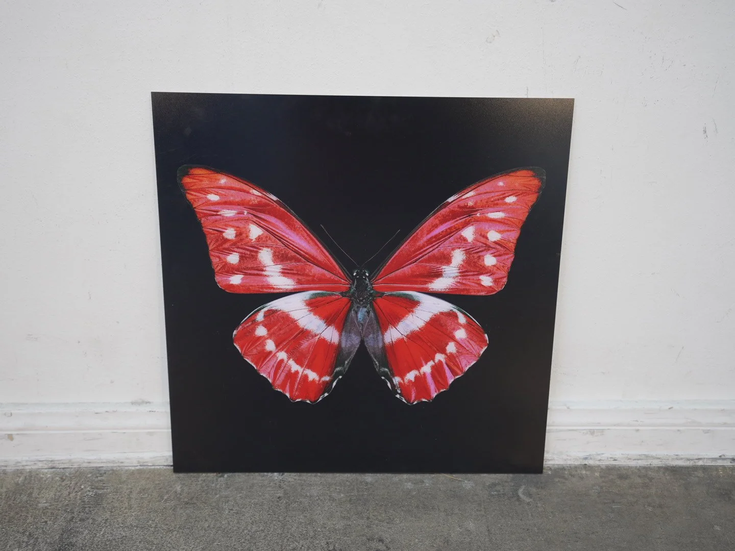 Photo Apr 23 2026, 12 37 00 PM.jpg