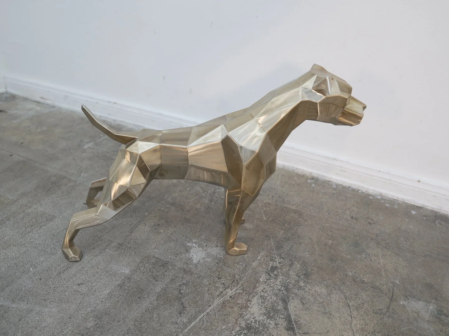 Photo Feb 08 2026, 11 59 34 AM.jpg