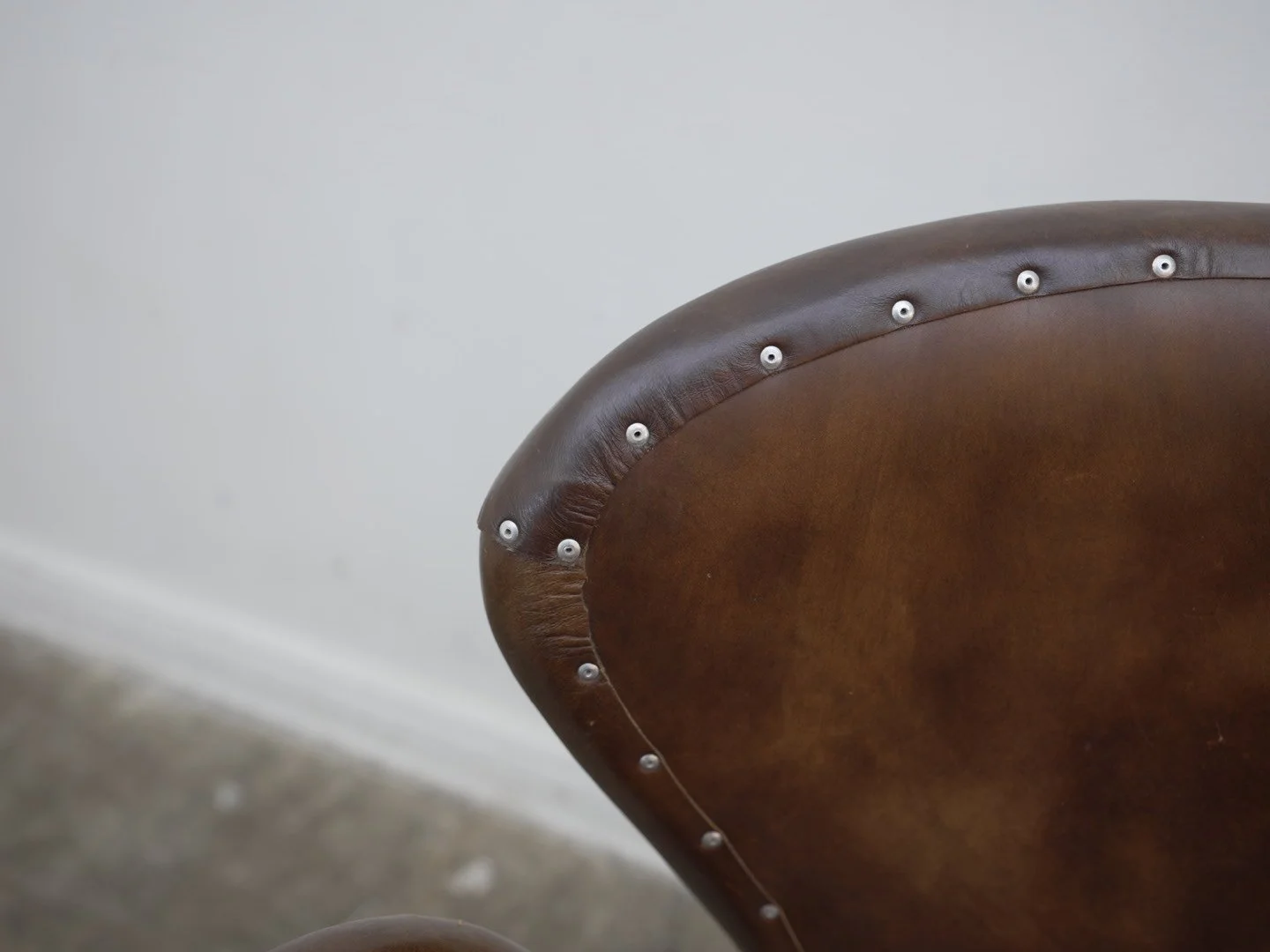 Photo Mar 13 2026, 1 55 44 PM.jpg