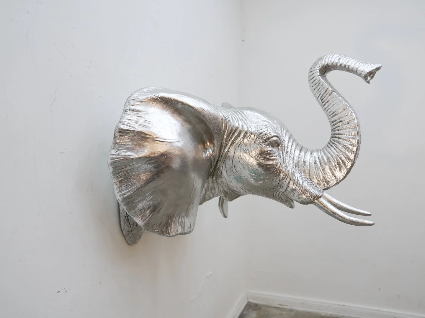 Photo Feb 12 2026, 6 19 02 PM.jpg