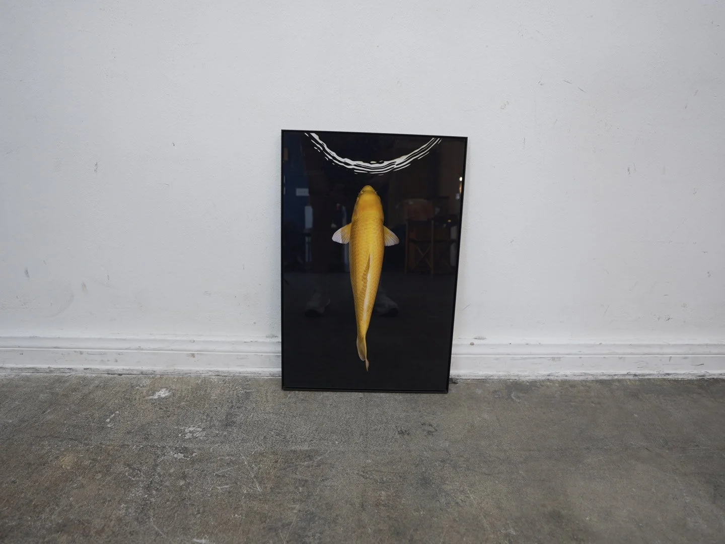 Photo Apr 23 2026, 4 34 38 PM.jpg