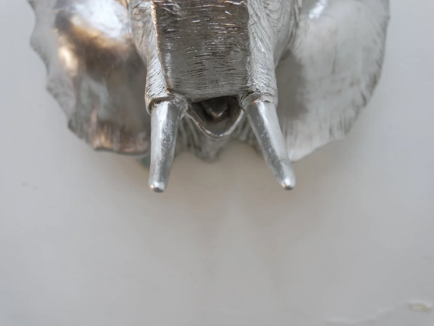 Photo Feb 12 2026, 6 19 25 PM.jpg