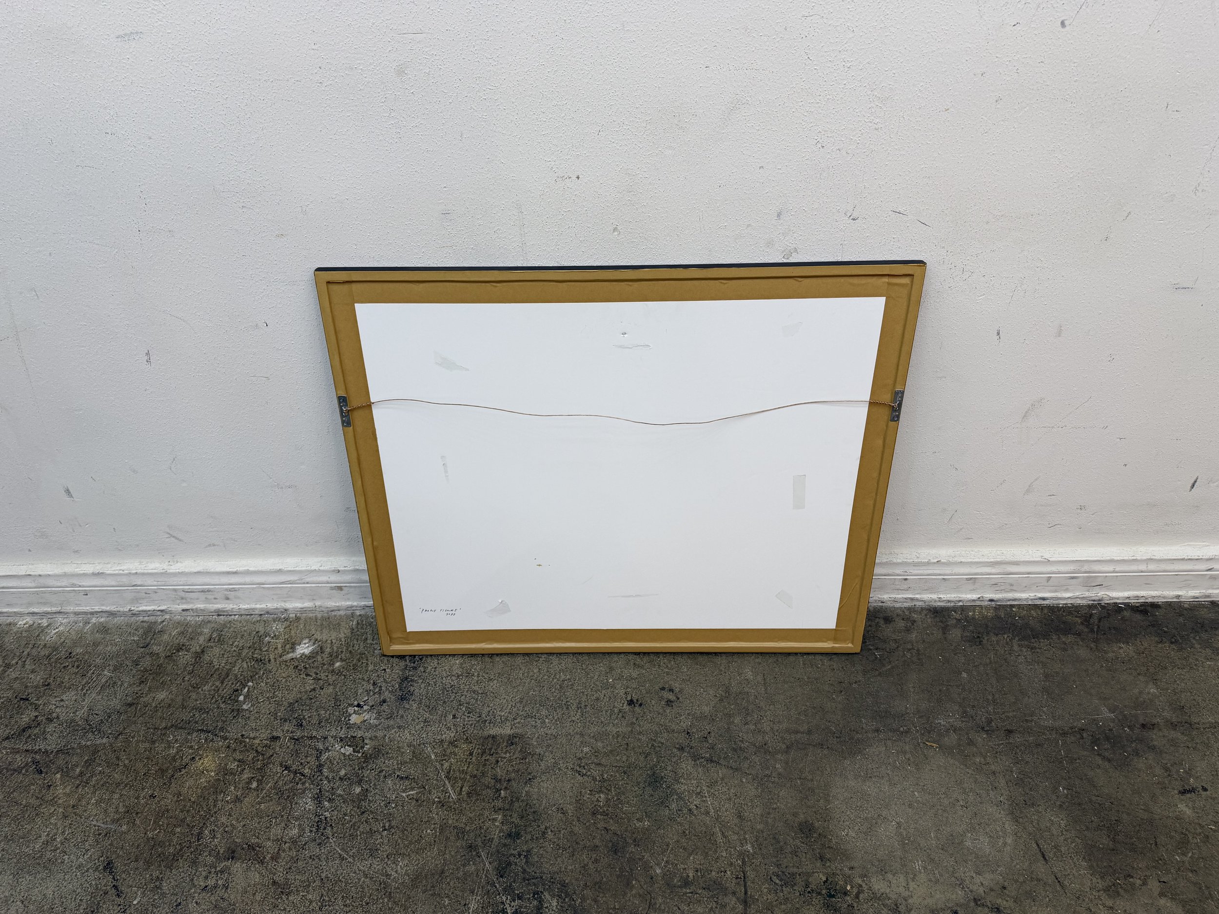 Photo Dec 19 2025, 4 48 04 PM.jpg