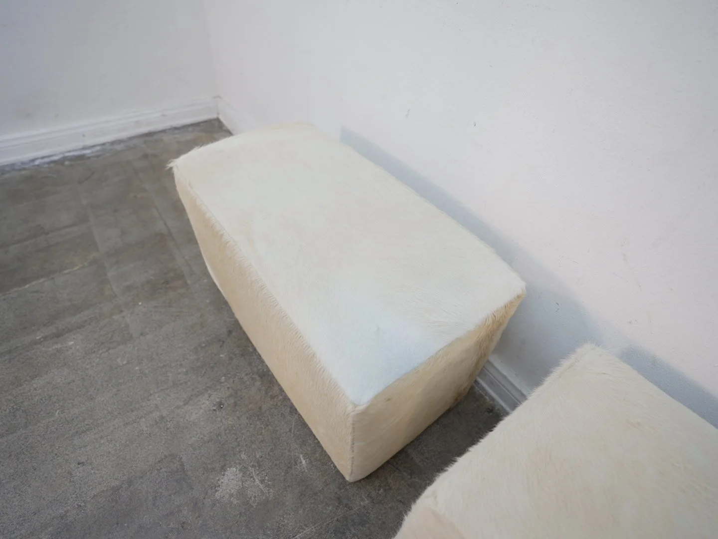 Photo Apr 21 2026, 1 36 40 PM.jpg