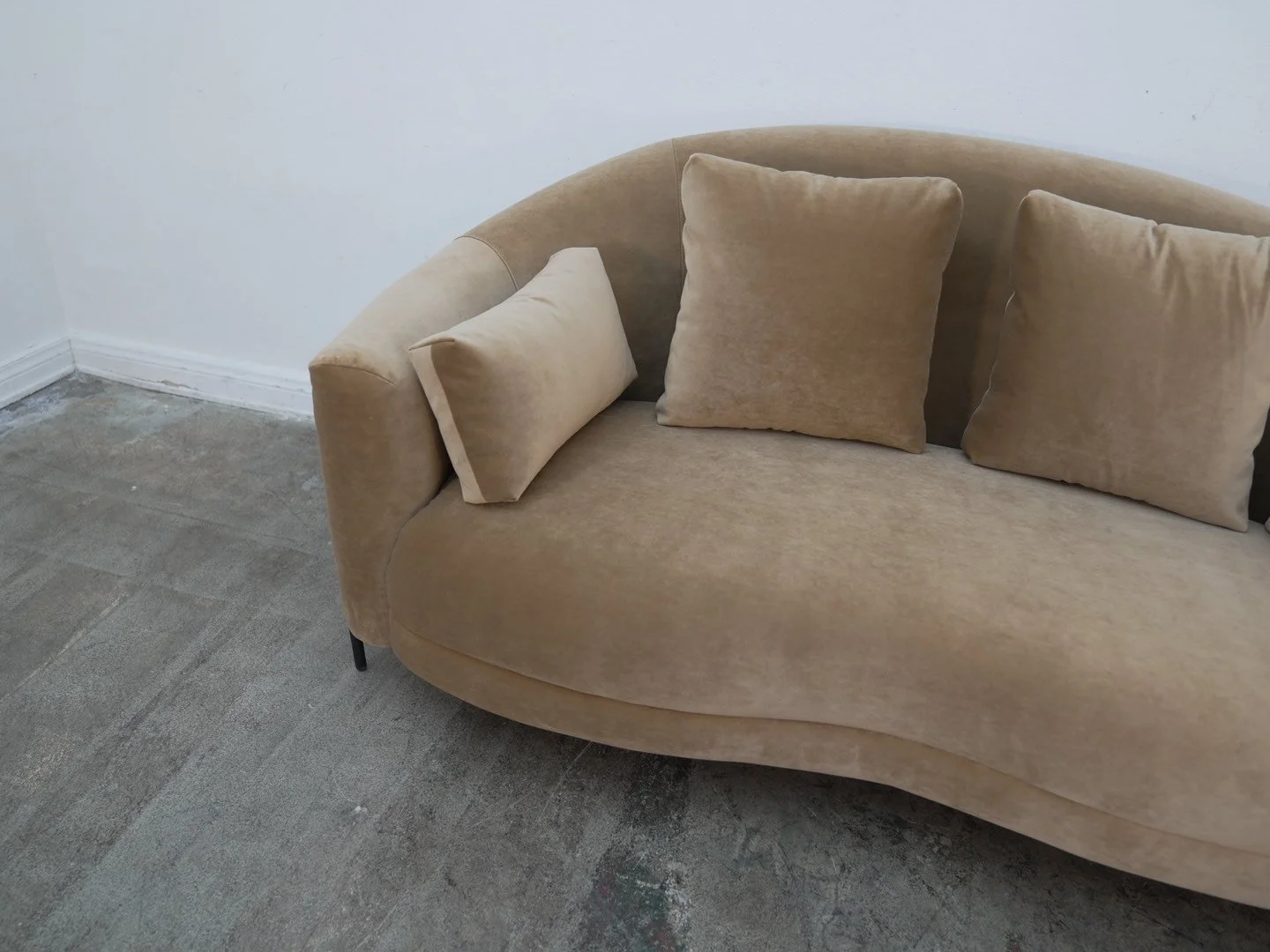 Photo Jan 27 2026, 12 36 40 PM.jpg