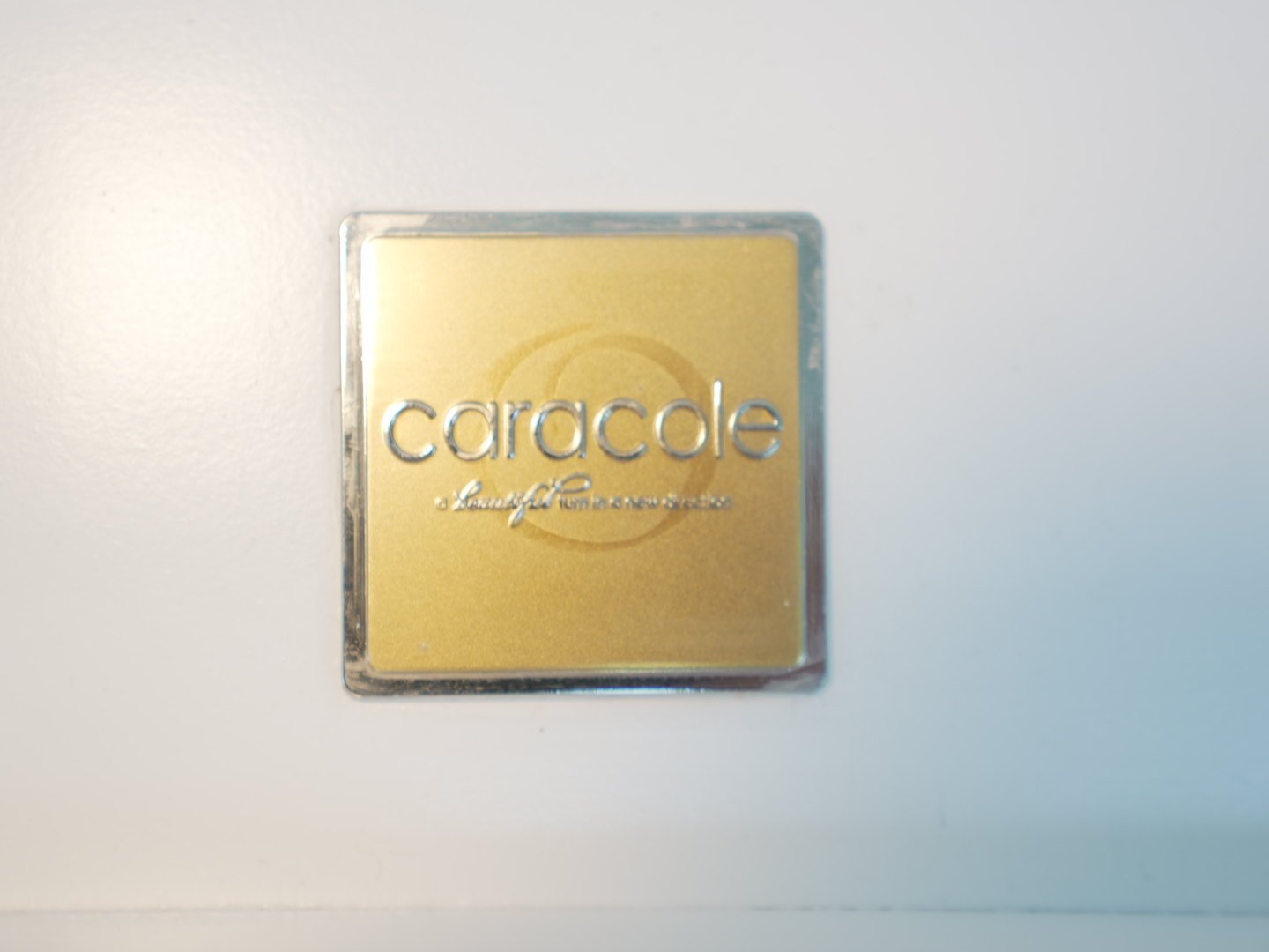 Photo Feb 22 2026, 2 18 44 PM.jpg