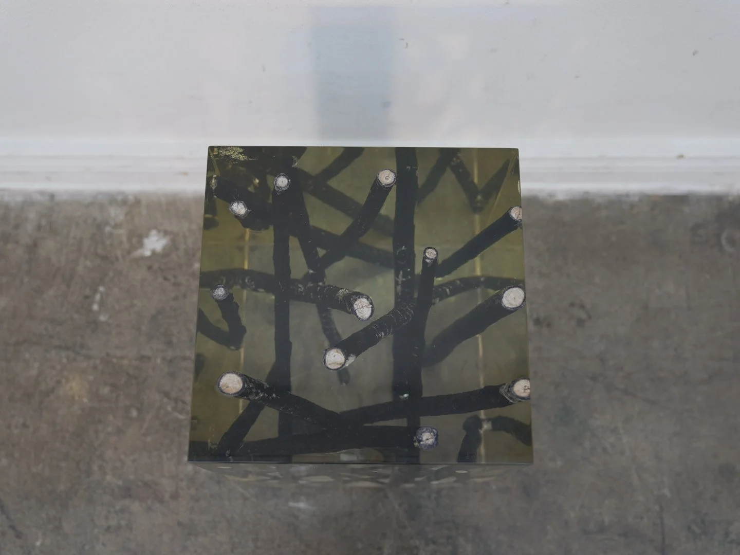 Photo Jan 30 2026, 2 31 47 PM.jpg