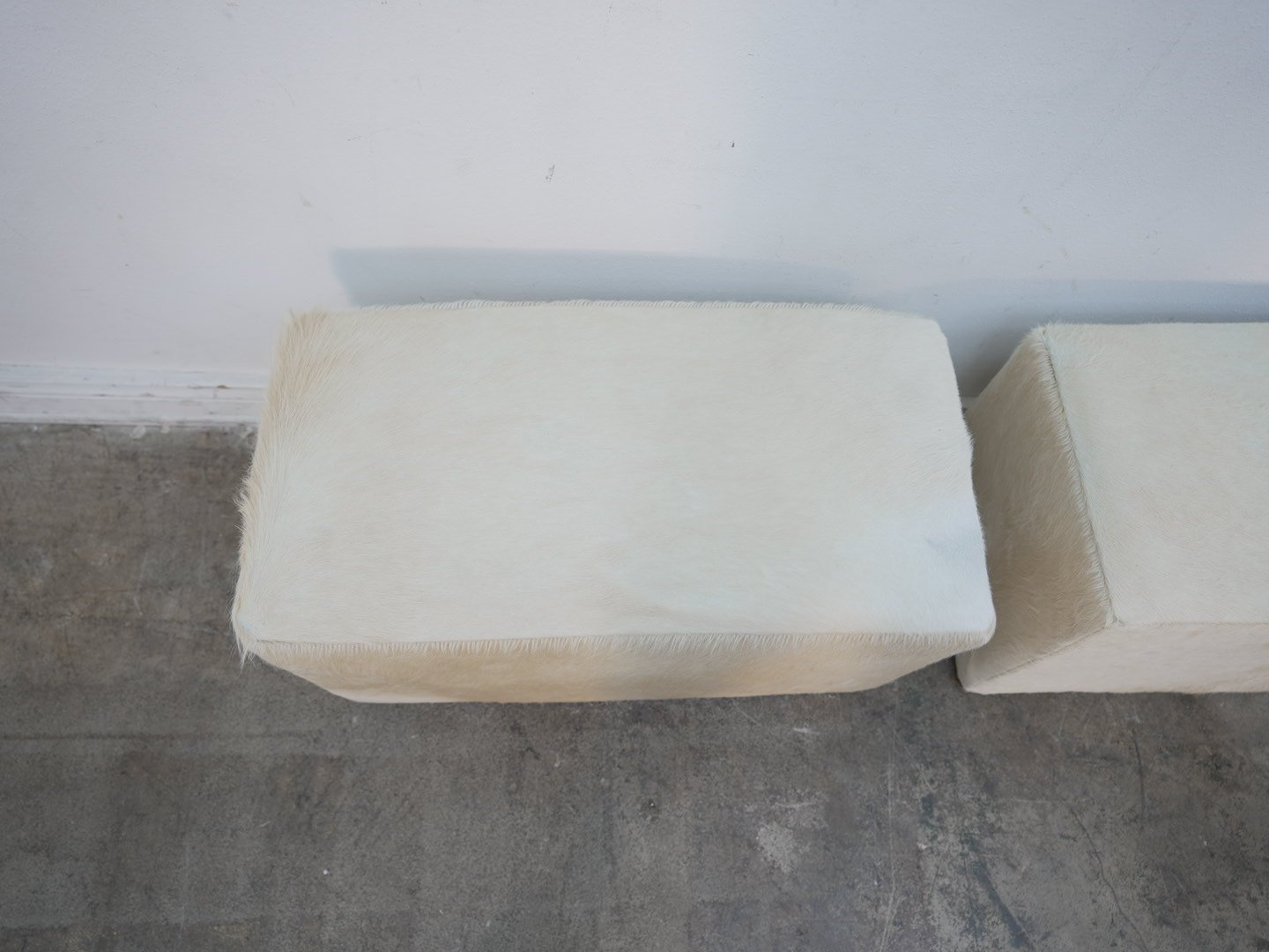 Photo Apr 21 2026, 1 36 00 PM.jpg