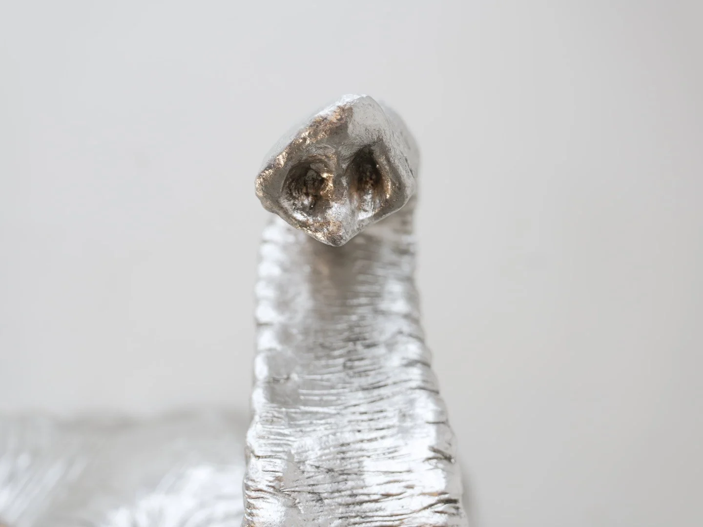 Photo Feb 12 2026, 6 19 07 PM.jpg