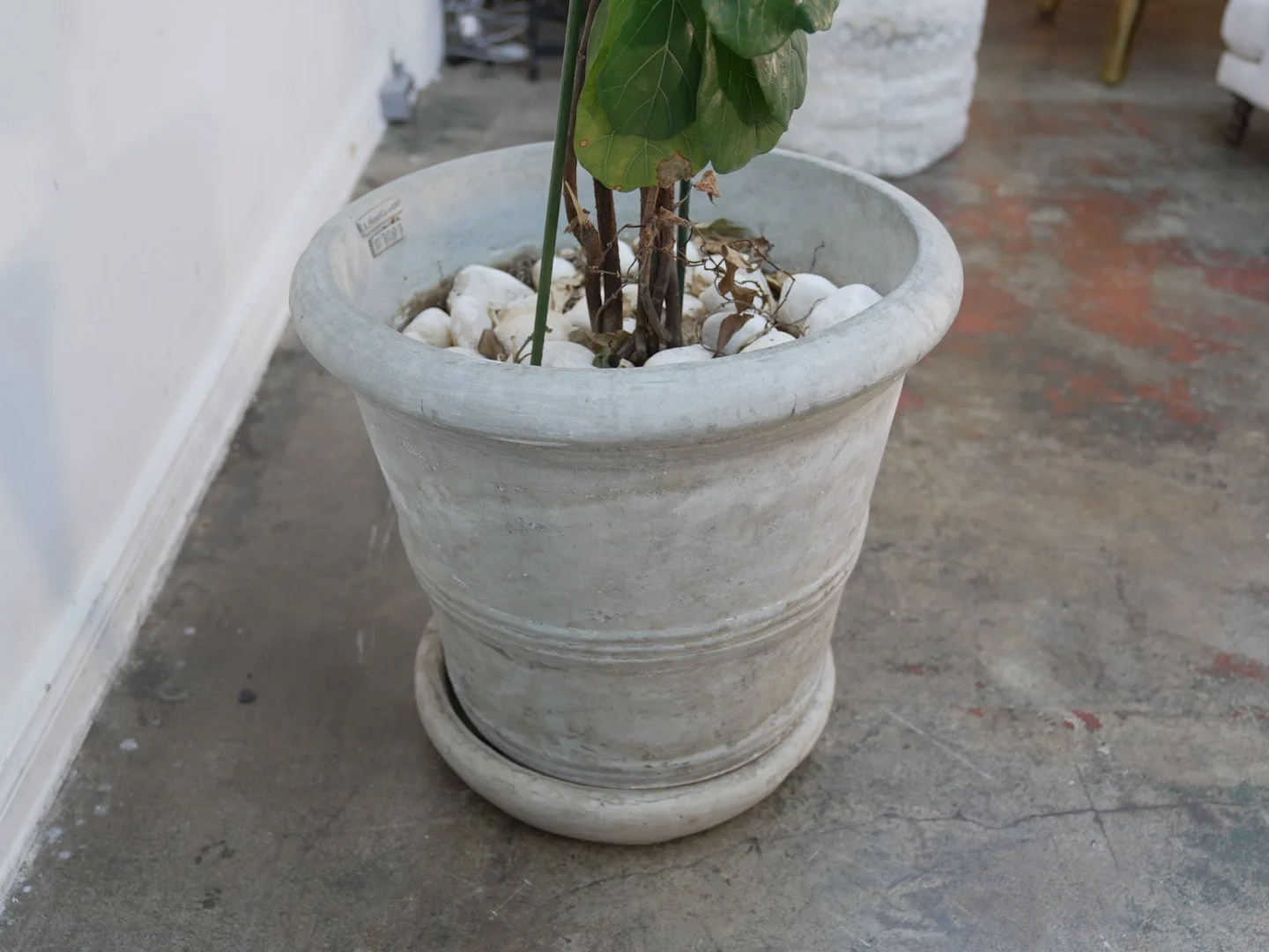 Photo Feb 06 2026, 5 44 22 PM.jpg