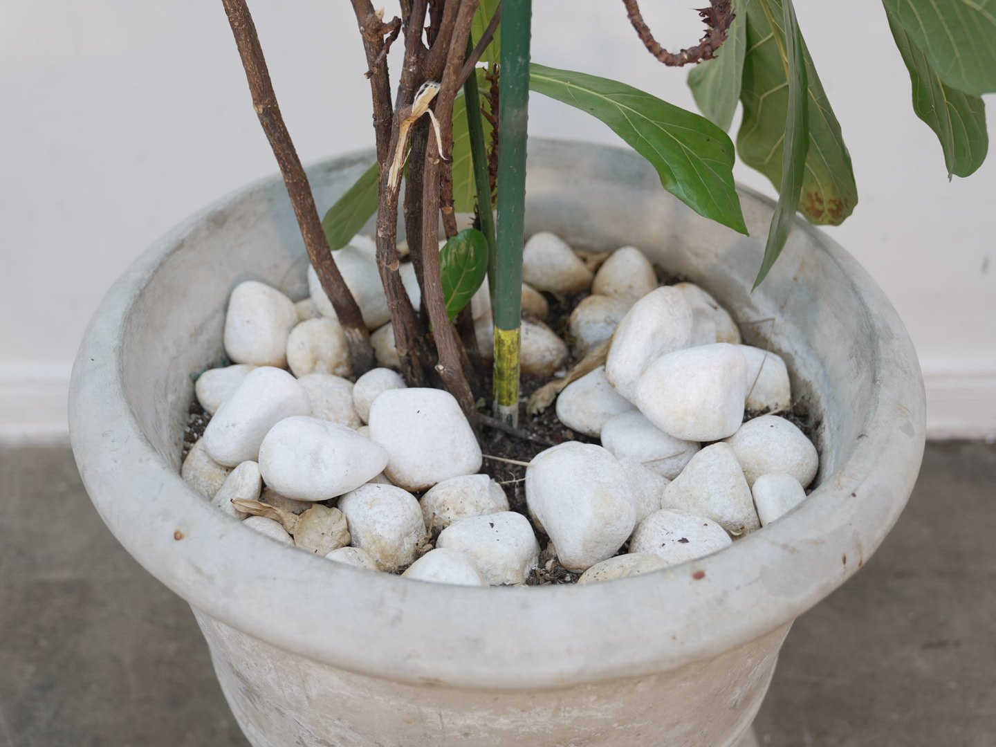 Photo Feb 06 2026, 5 39 20 PM.jpg