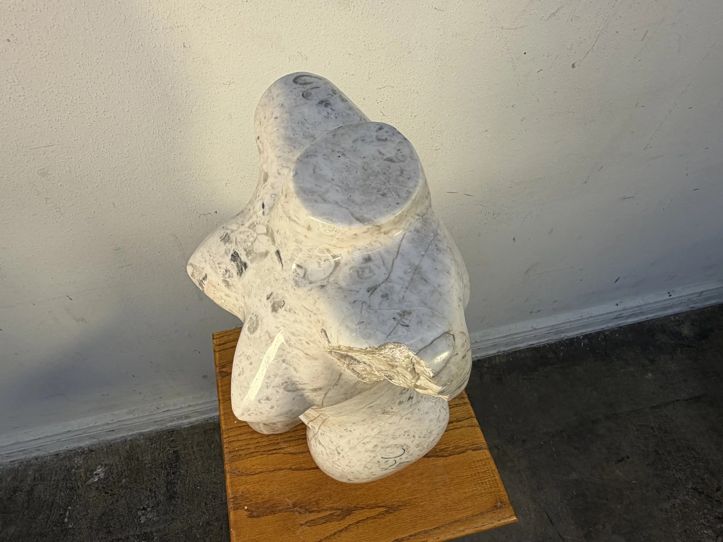 Photo Jan 17 2026, 2 10 12 PM.jpg