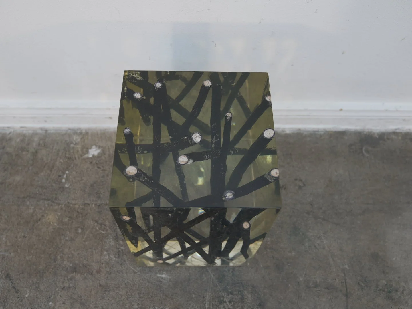 Photo Jan 30 2026, 2 30 41 PM.jpg