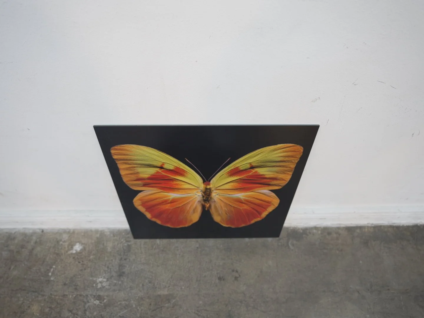 Photo Apr 23 2026, 12 40 27 PM.jpg