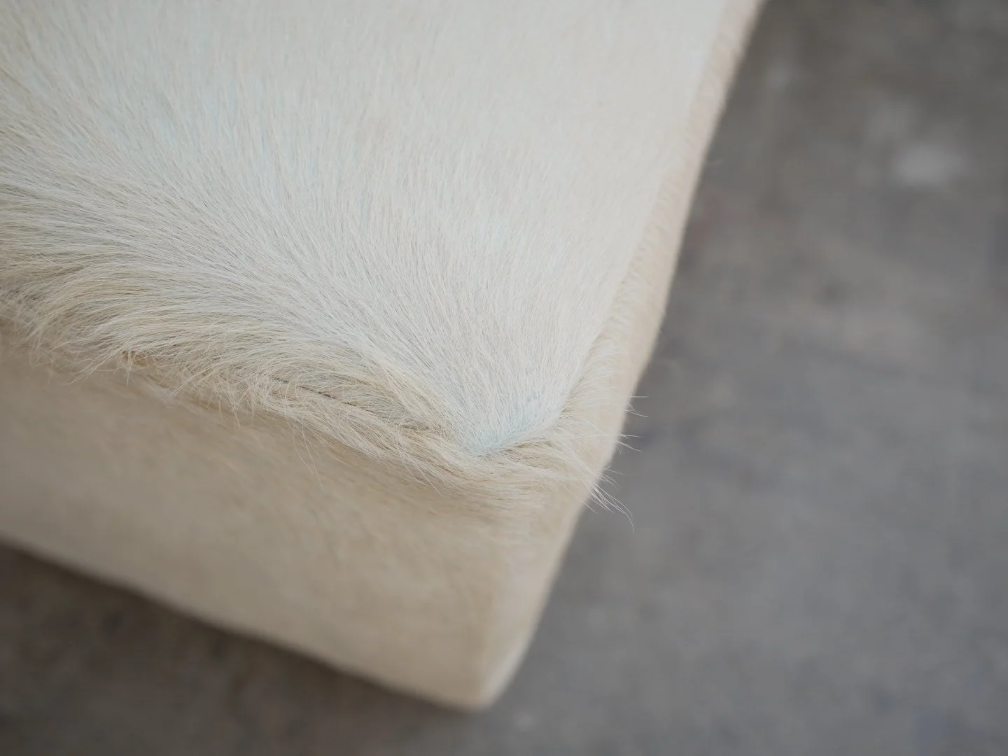 Photo Apr 21 2026, 1 36 16 PM.jpg