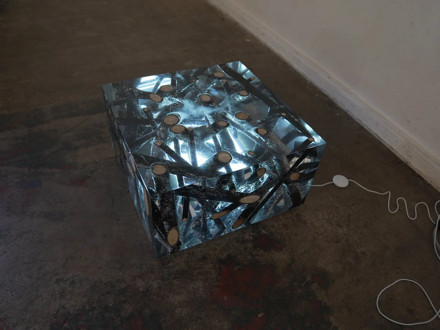 Photo Feb 08 2026, 12 19 46 PM.jpg