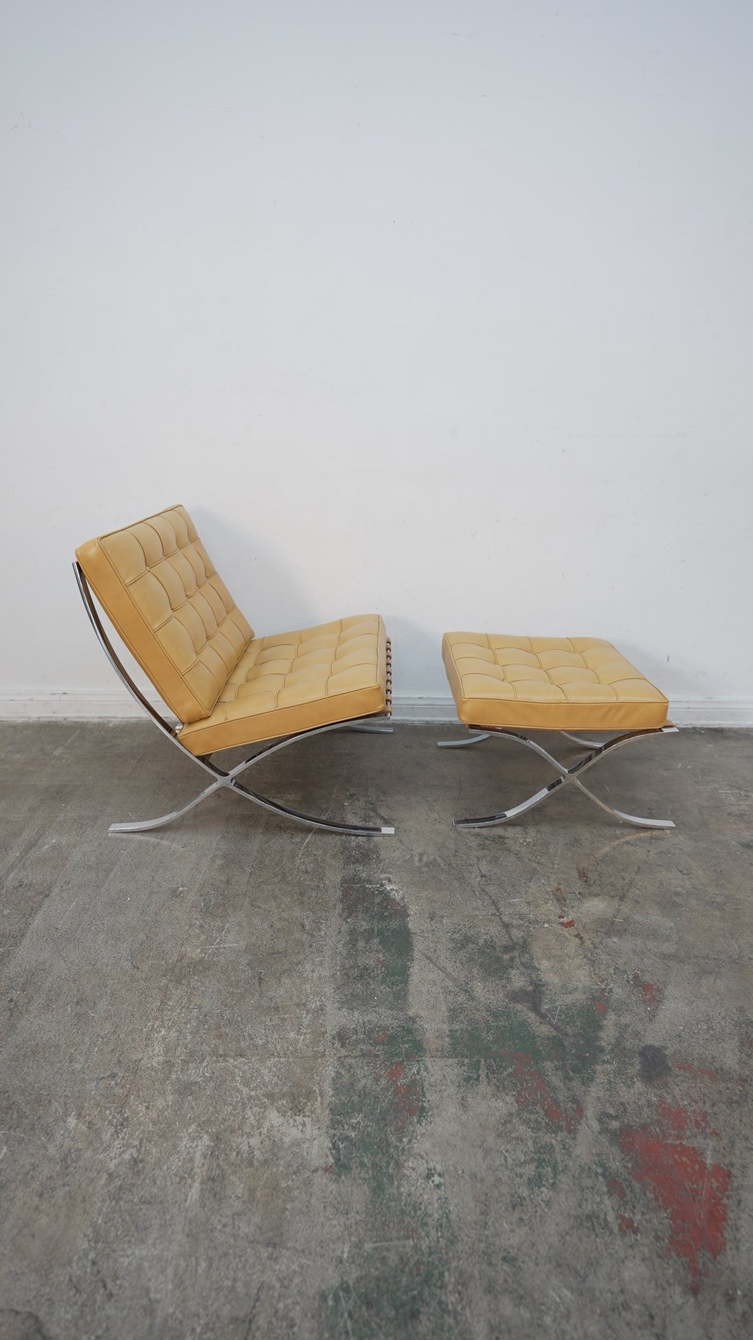 Photo Apr 21 2026, 1 06 25 PM.jpg