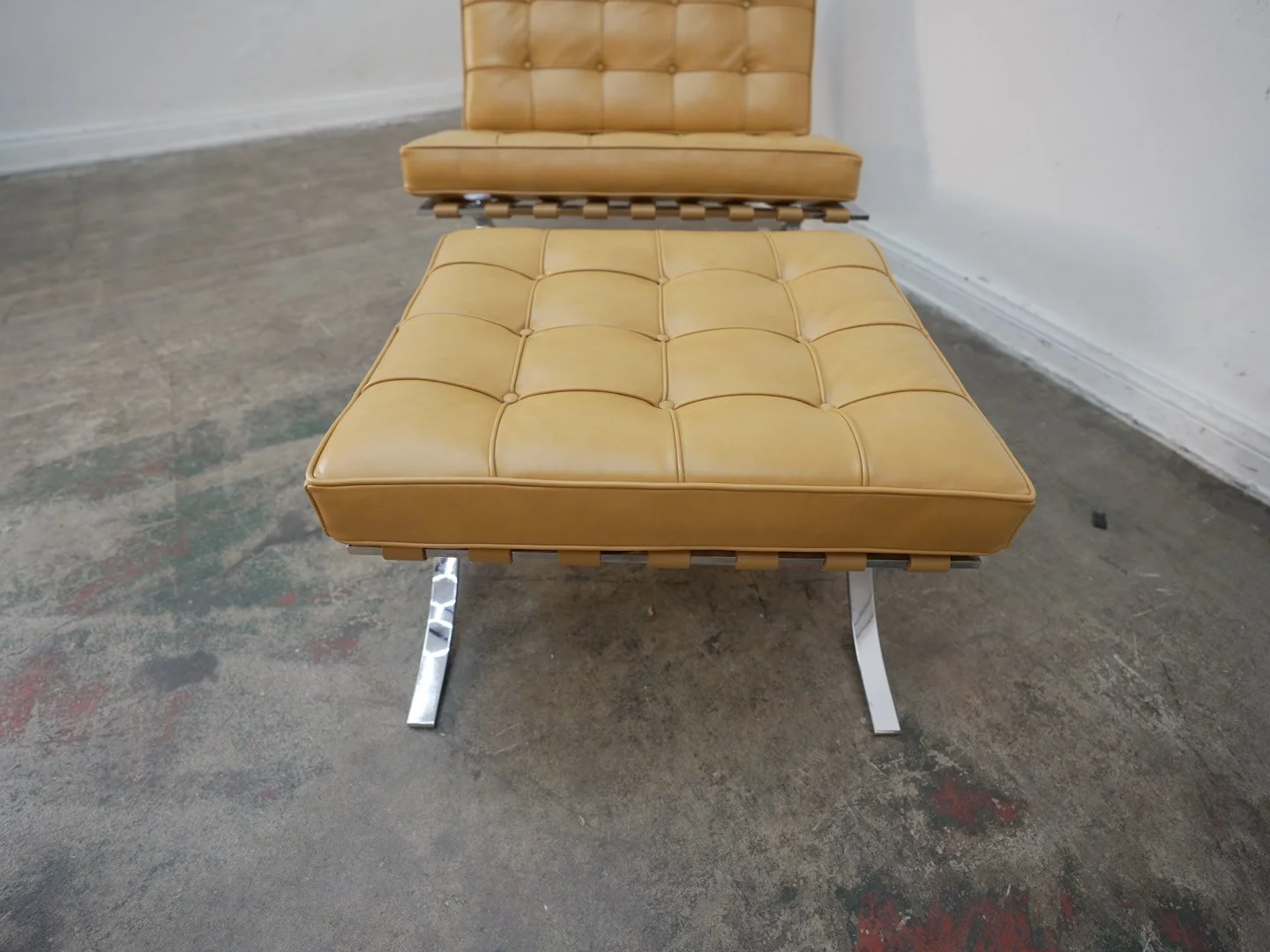 Photo Apr 21 2026, 1 05 31 PM.jpg