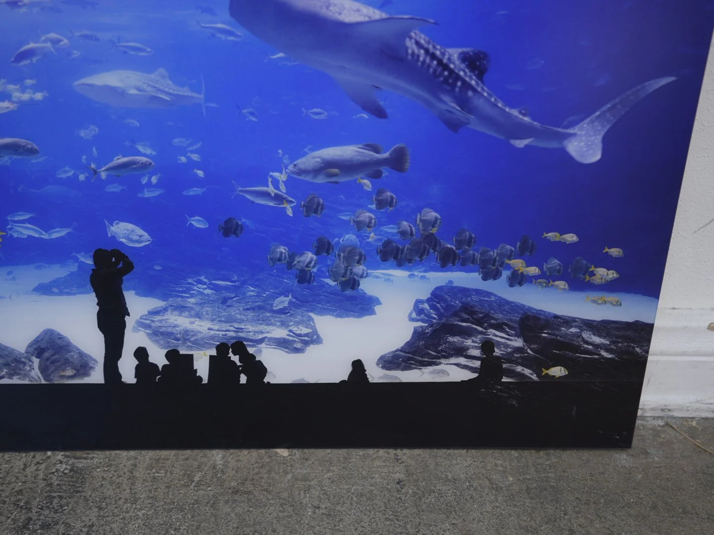 Photo Apr 23 2026, 12 18 12 PM.jpg