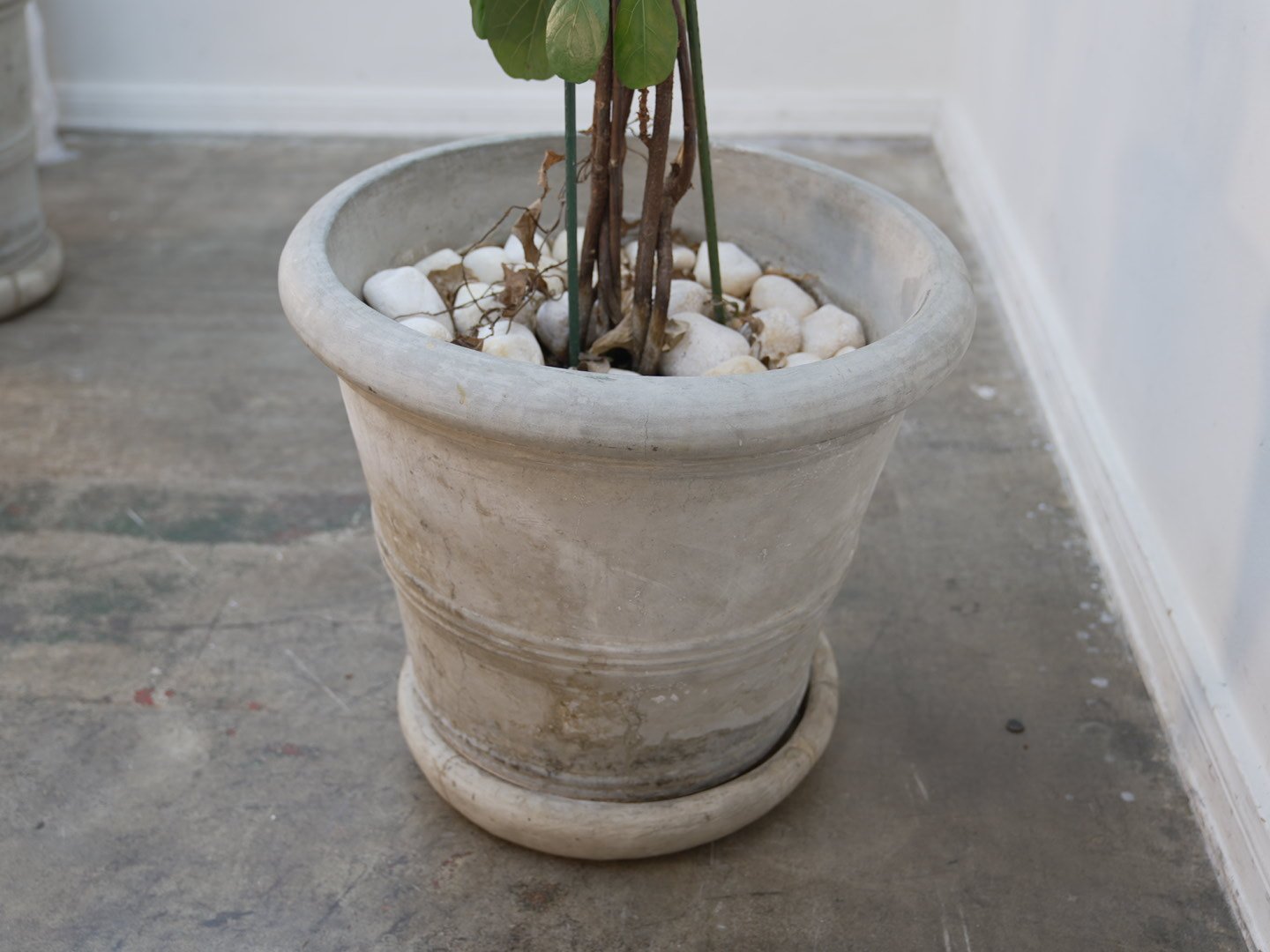 Photo Feb 06 2026, 5 44 42 PM.jpg