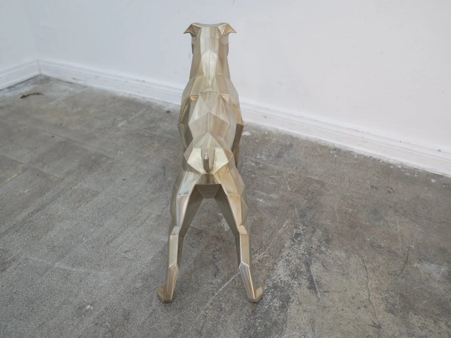 Photo Feb 08 2026, 11 59 24 AM.jpg