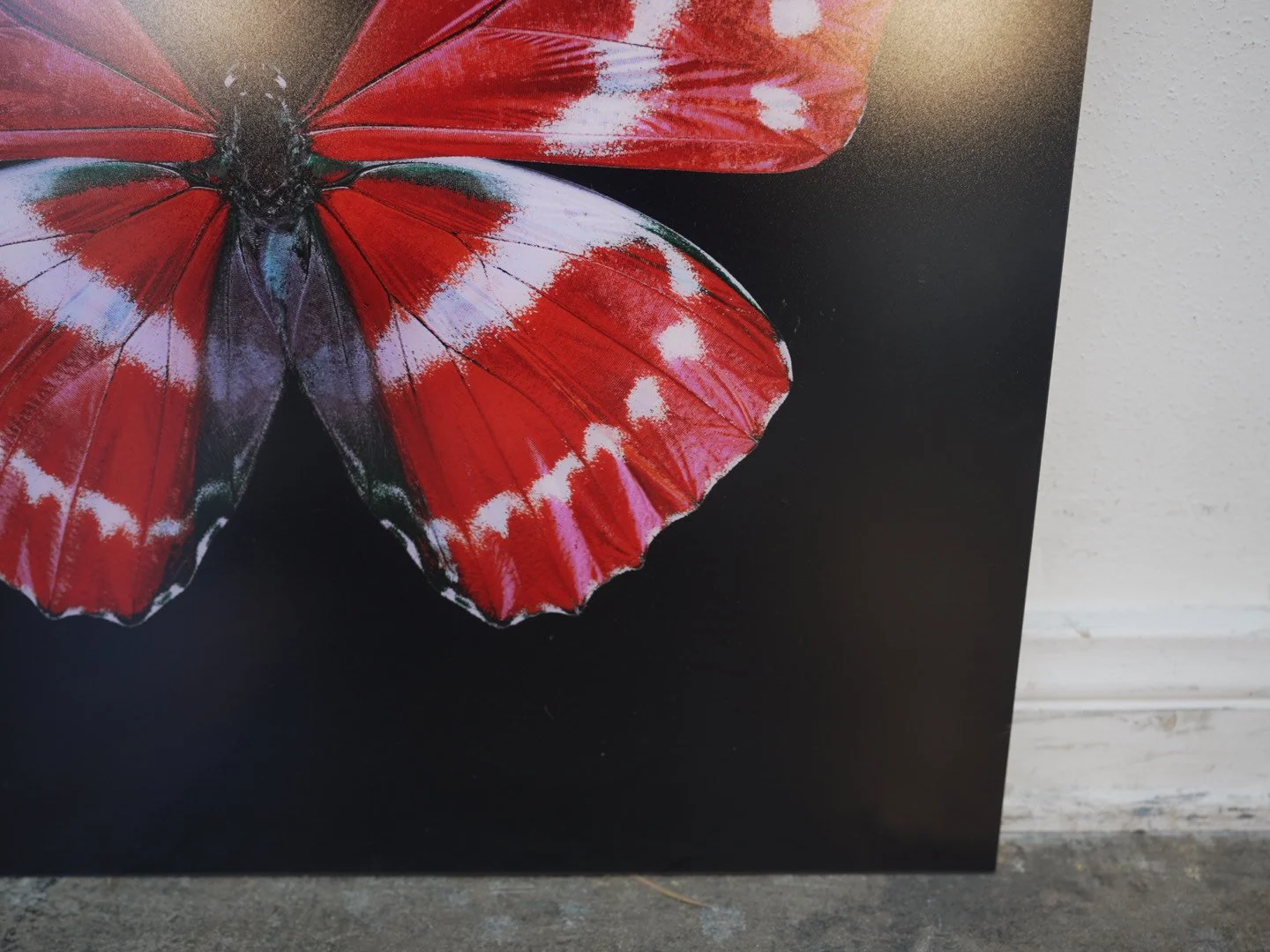 Photo Apr 23 2026, 12 37 18 PM.jpg