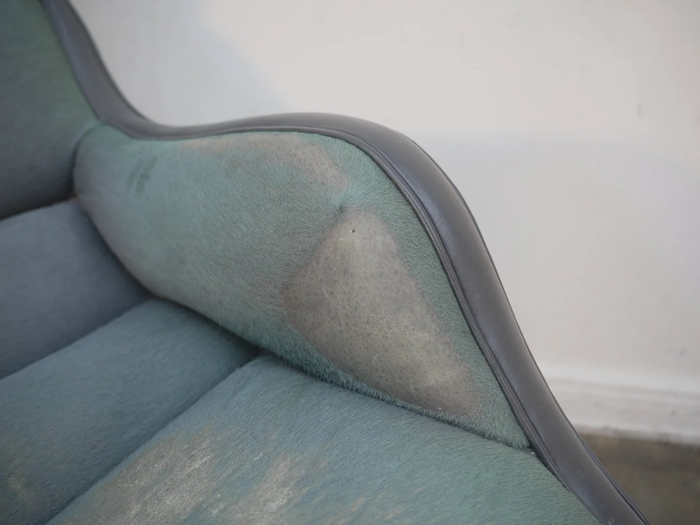 Photo Mar 03 2026, 11 59 30 AM.jpg