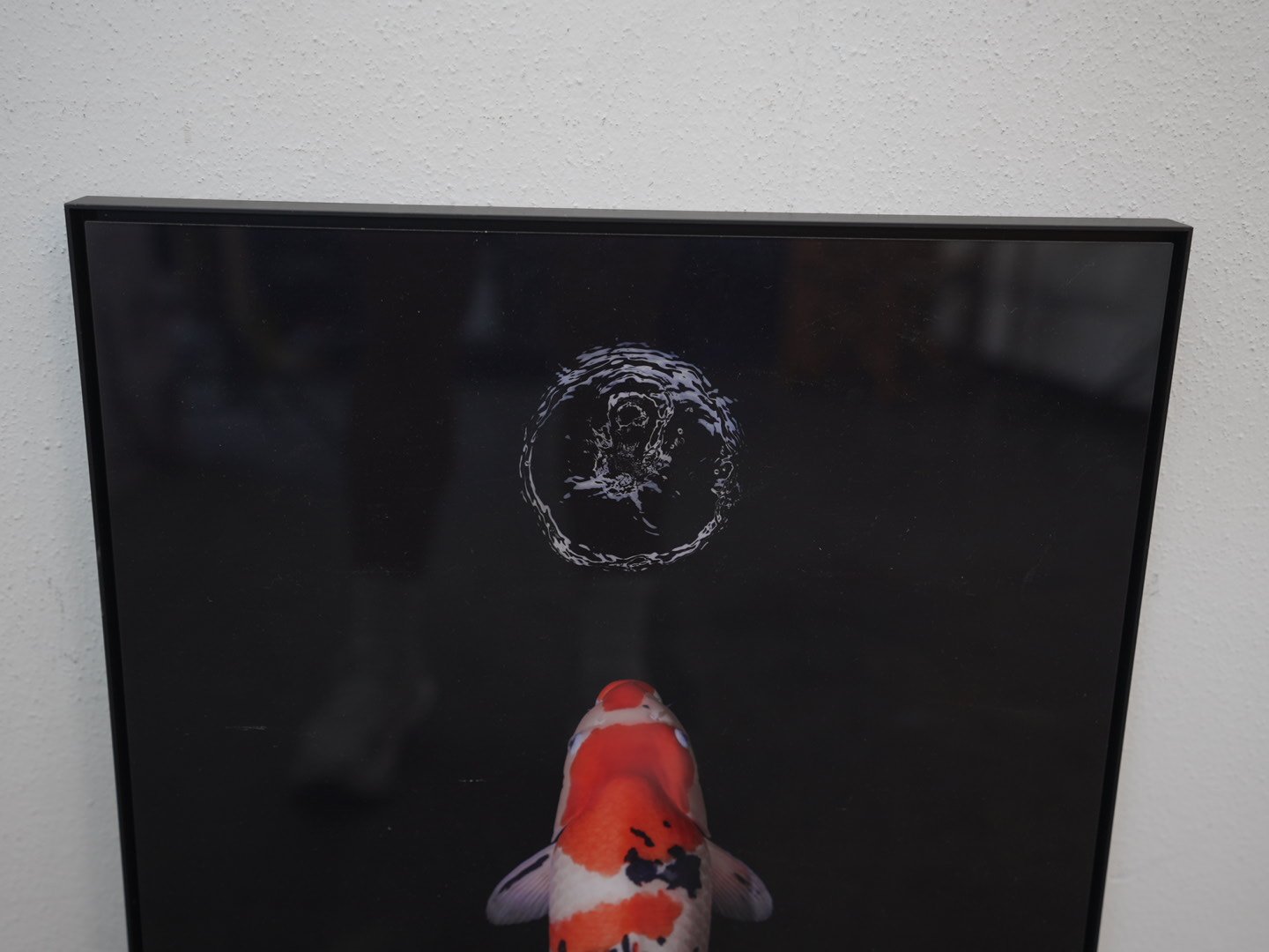 Photo Apr 23 2026, 4 25 52 PM.jpg