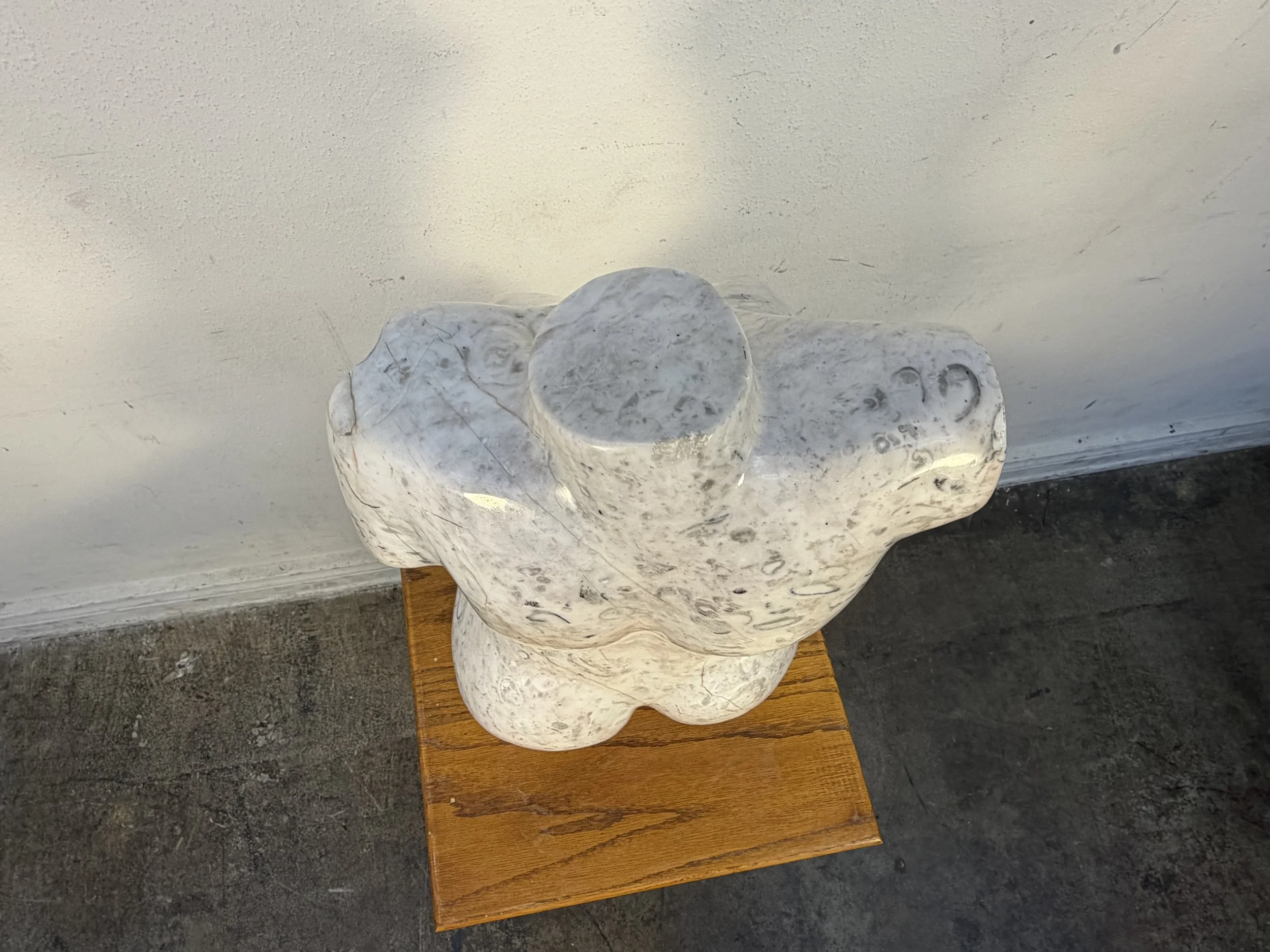 Photo Jan 17 2026, 2 09 40 PM.jpg