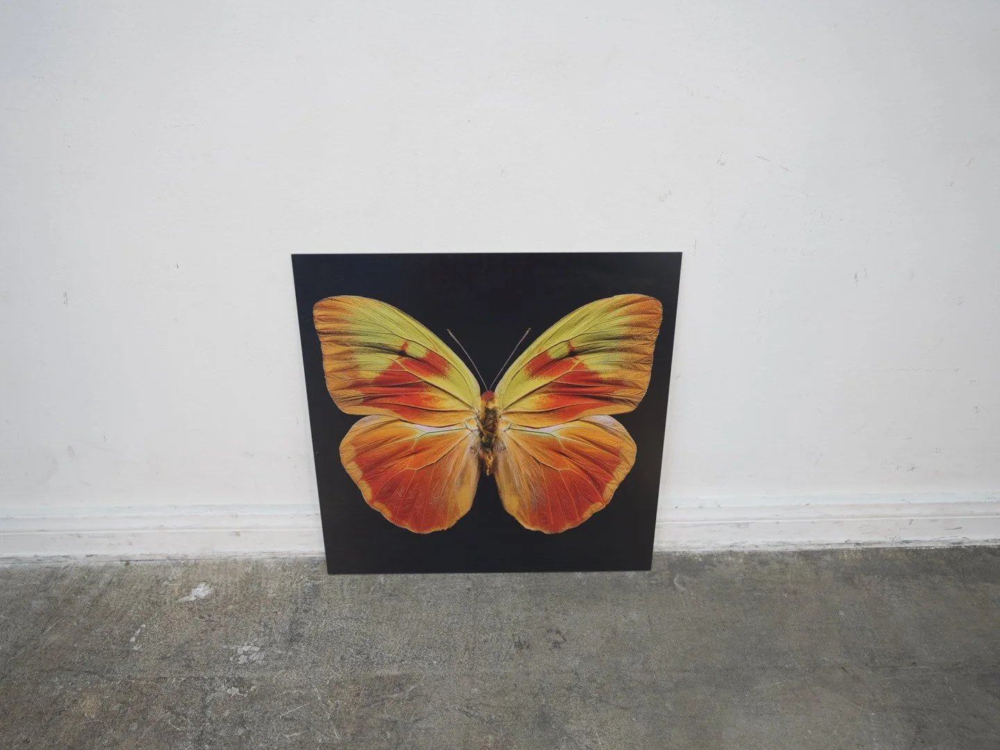 Photo Apr 23 2026, 12 40 47 PM.jpg