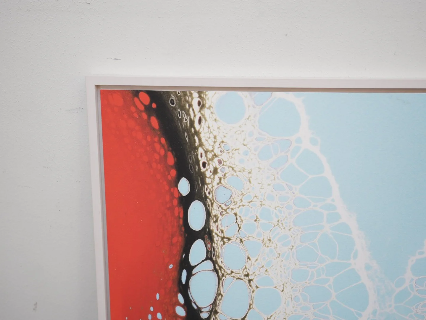 Photo Mar 26 2026, 1 09 00 PM.jpg