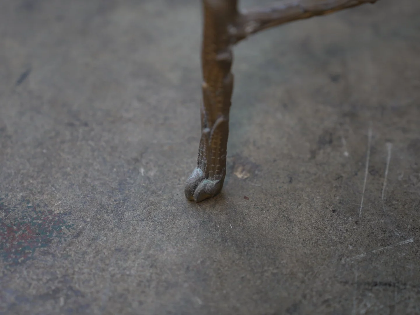 Photo Feb 19 2026, 12 43 02 PM.jpg