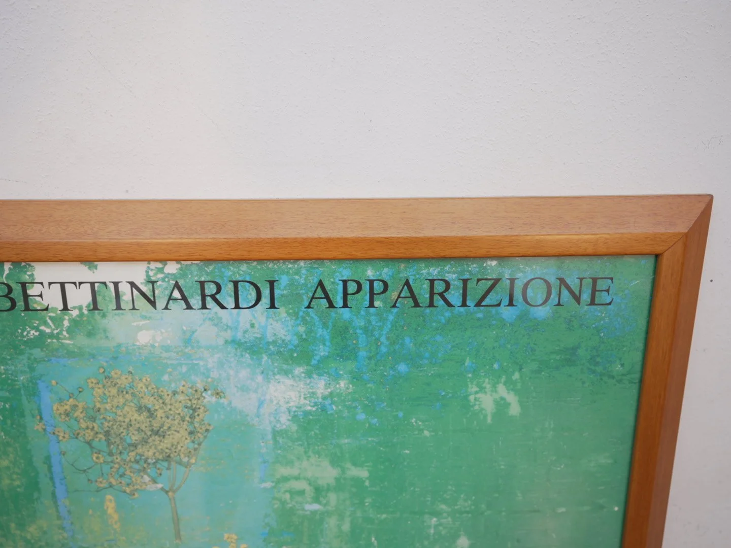 Photo Apr 23 2026, 3 45 08 PM.jpg