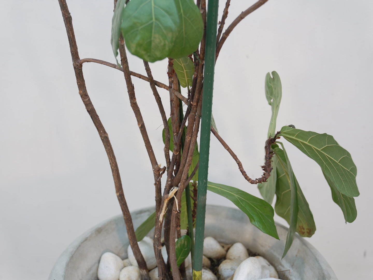 Photo Feb 06 2026, 5 39 24 PM.jpg