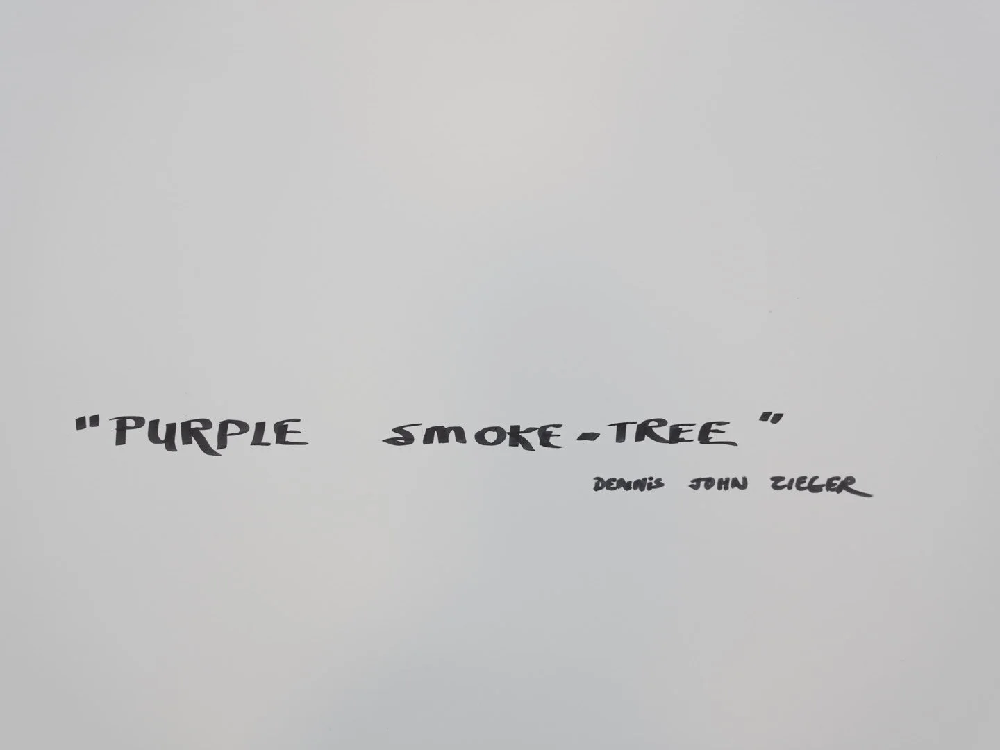 Photo Dec 30 2025, 6 19 10 PM.jpg