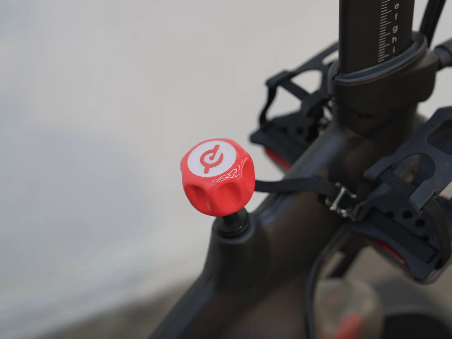 Photo Jan 24 2026, 12 48 36 PM.jpg