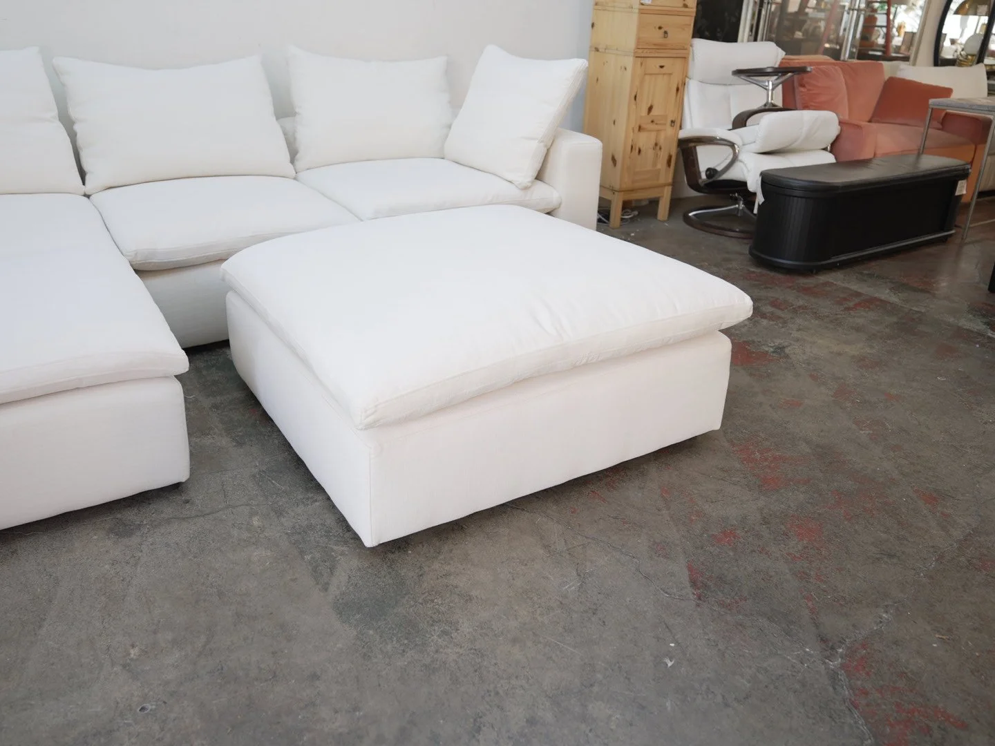 Photo Feb 21 2026, 2 16 16 PM.jpg