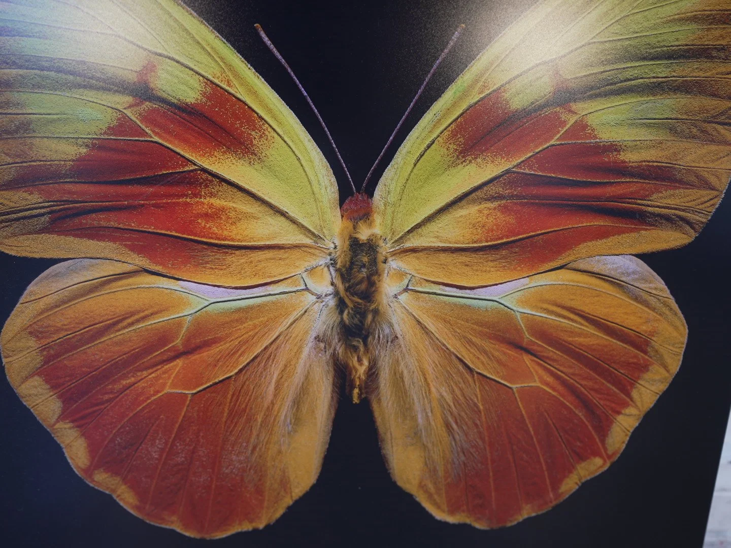 Photo Apr 23 2026, 12 41 26 PM.jpg