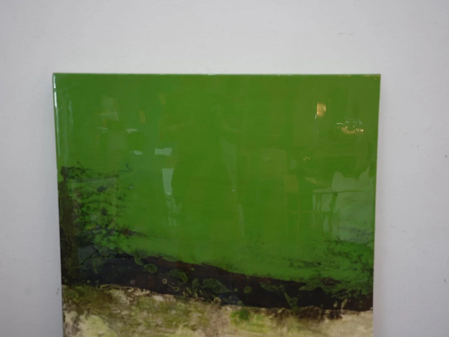 Photo Apr 23 2026, 3 48 54 PM.jpg